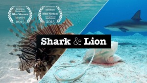 mindie-winners-february2016-poster-Shark & Lion